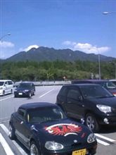 朝ツリ…ソロ