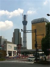 今日の新東京タワー