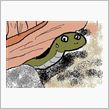 またまた遭遇…！！