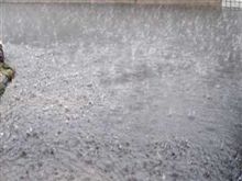 雨