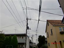 台風接近。。。涼しい朝じゃ・・・(○｀。 &#180;○)ﾎﾞｿｯ