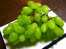 極上食感ピッテロビアンコ