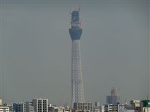 実は・・・（昨日の件）