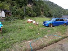 不動車からの復活