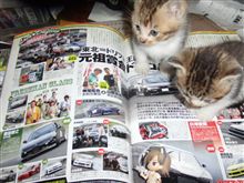 宮城うまいもの情報！カレー編！