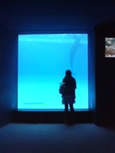 あの頃と現在