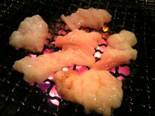 ン～モ～ル～ホ～