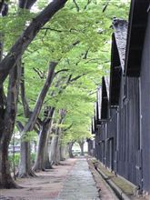東北行脚・・・ 秋田~山形編^^/ 東北行脚・・・ 秋田~山形編^^/