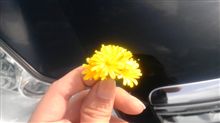 プチオフ? プチオフ?