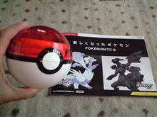 弁当箱ゲットだぜ！