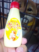 今日の１本