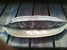 サンマを七輪で焼きました 