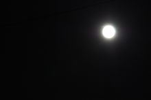 中秋の名月 中秋の名月