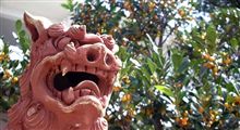来月の旅行日程