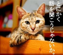 なんだか、本末転倒の様な気がするのですが… なんだか、本末転倒の様な気がするのですが…