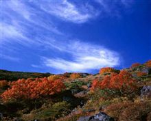 中日本忘年会参加表明(^^)v･････