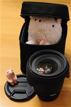 会津工場直送