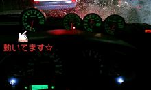 やっぱりね♪蛸踊り編
