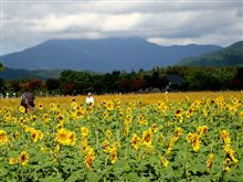 花の都公園へ