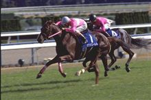 横山典弘騎手、重傷
