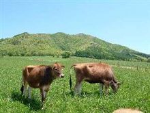 【告知】ツーリングオフ  蒜山高原＆大山