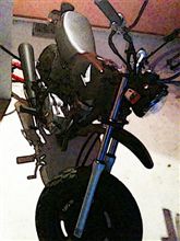 増車しました。