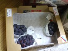 ぶどう、打ち止め寸前・・・ ぶどう、打ち止め寸前・・・