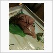 歓迎会のはずが。。。
