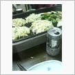 お好み焼き～