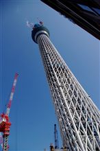 お台場