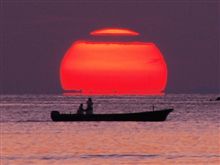 西伊豆　大田子　ゴジラ岩と夕陽　20101002