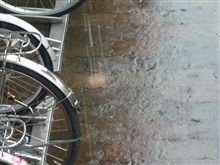 雨だったので････