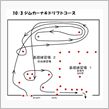 Zummy Racing F ...