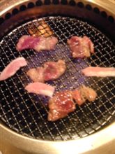 肉肉～♪