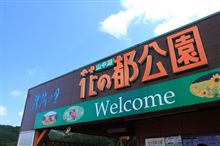 山中湖へお花撮影に♪