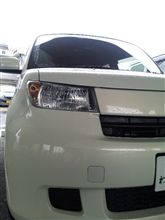 新しい仲間！？