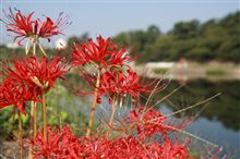 健康ウォーク岡崎 ウォーキング編