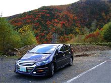 エコインサイトのぶらり旅～秋の山王林道～