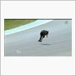 G+というより日テレか・・・