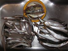 お魚・・・とったど～(爆)