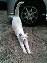 真面目な顔して・・・・♪=^_^=