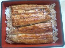 柴又にて