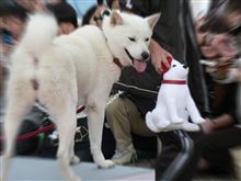あれ？　お父さん？　こんなところで・・・