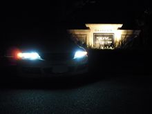 うなうなビンビン！