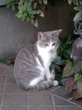 おはようございます♪ 