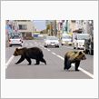 うろうろしてました。