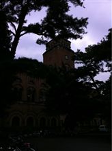 一橋大でパネル 一橋大でパネル