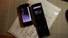 ついにやってしまったちゃん！