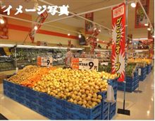 こりゃ～すげ～！！ 