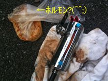これ、かな？(^^;;;;)･･････